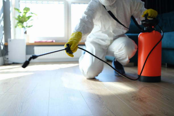 Reliable Odor Removal contractor in Federal Way, WA by Trauma Clean Pros